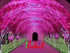 Tunnel immersive LED screen - Màn Hình LED ILIKIT - ILIKIT LED Co.,Ltd.